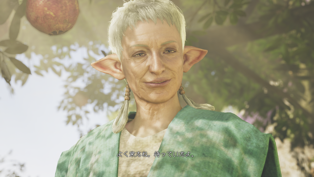 MHWildsのスクリーンショット。耳の方「よく来たね。待っていたよ」